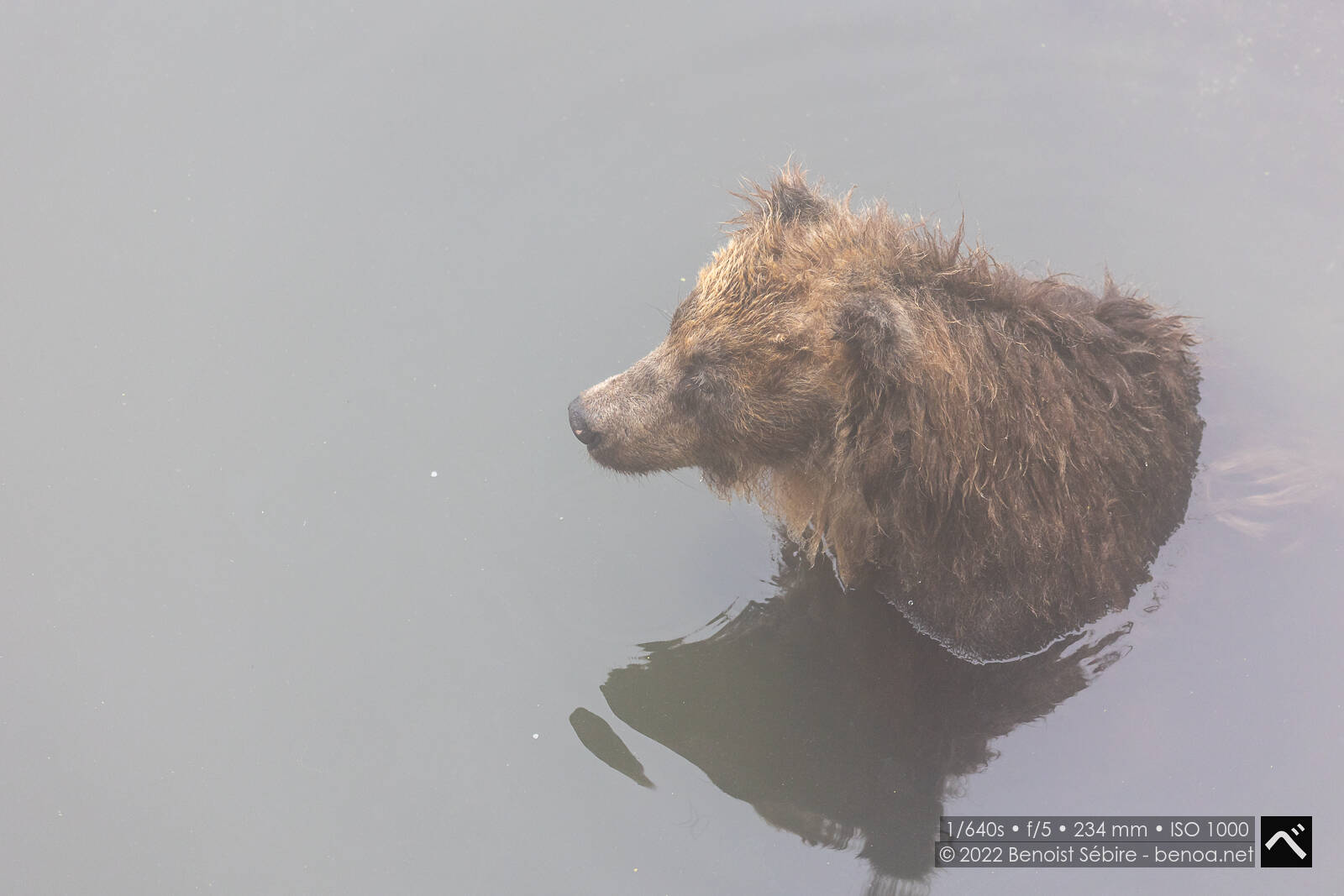 Noboribetsu Bear Park