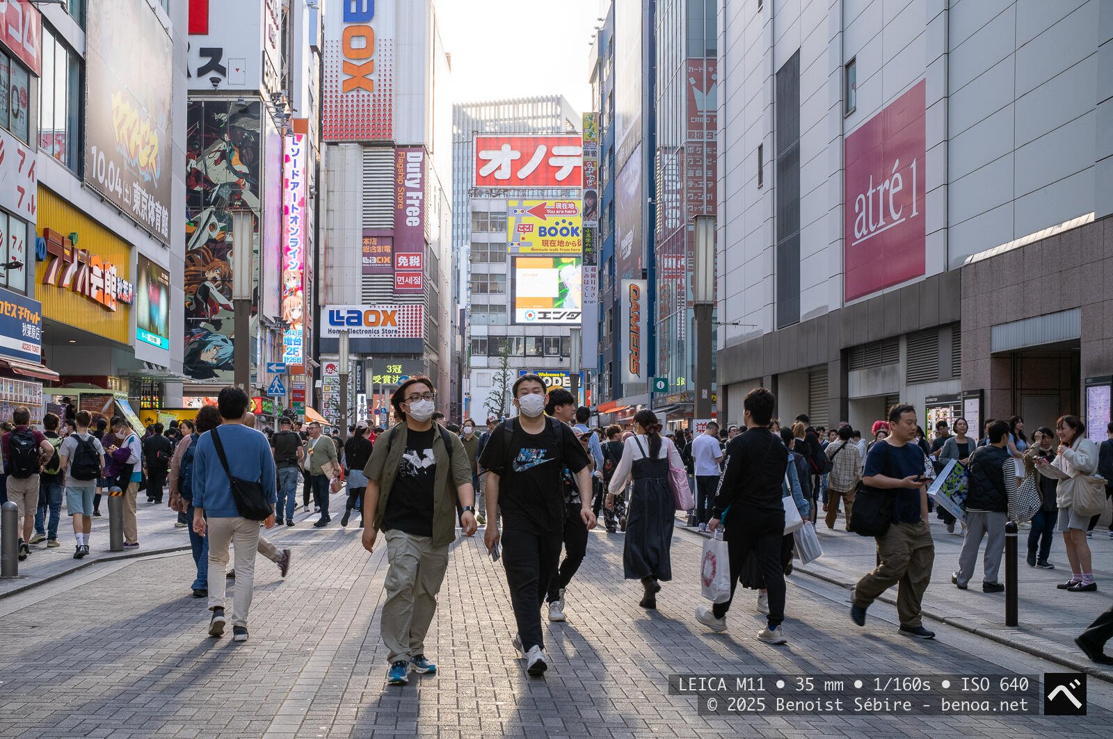Akiba Sunday
