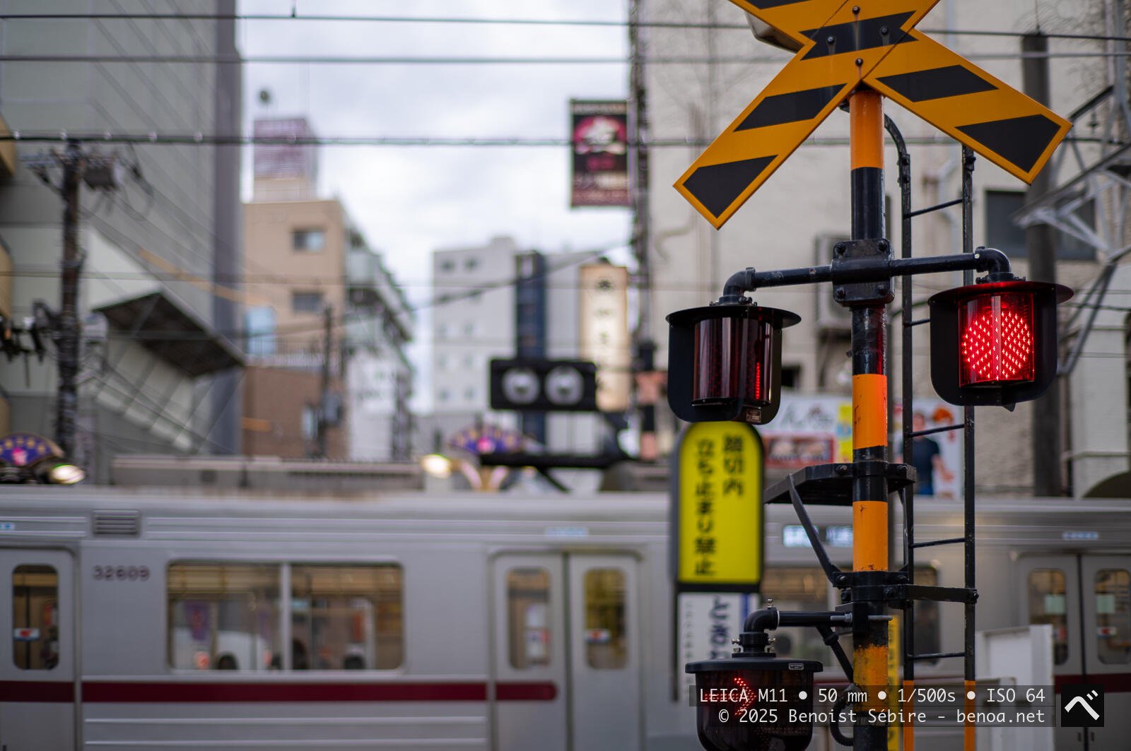 Japanese Crossing